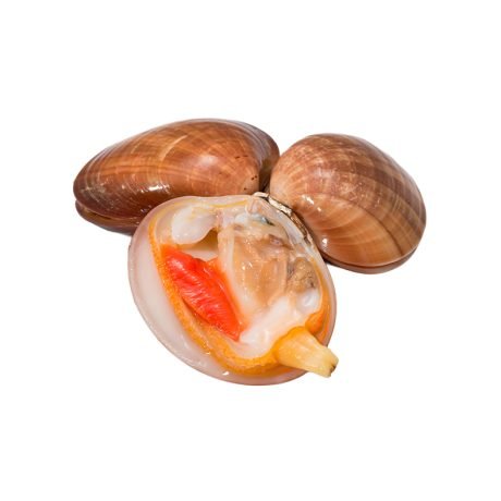 Vongole congelate fasolare con guscio 500 g